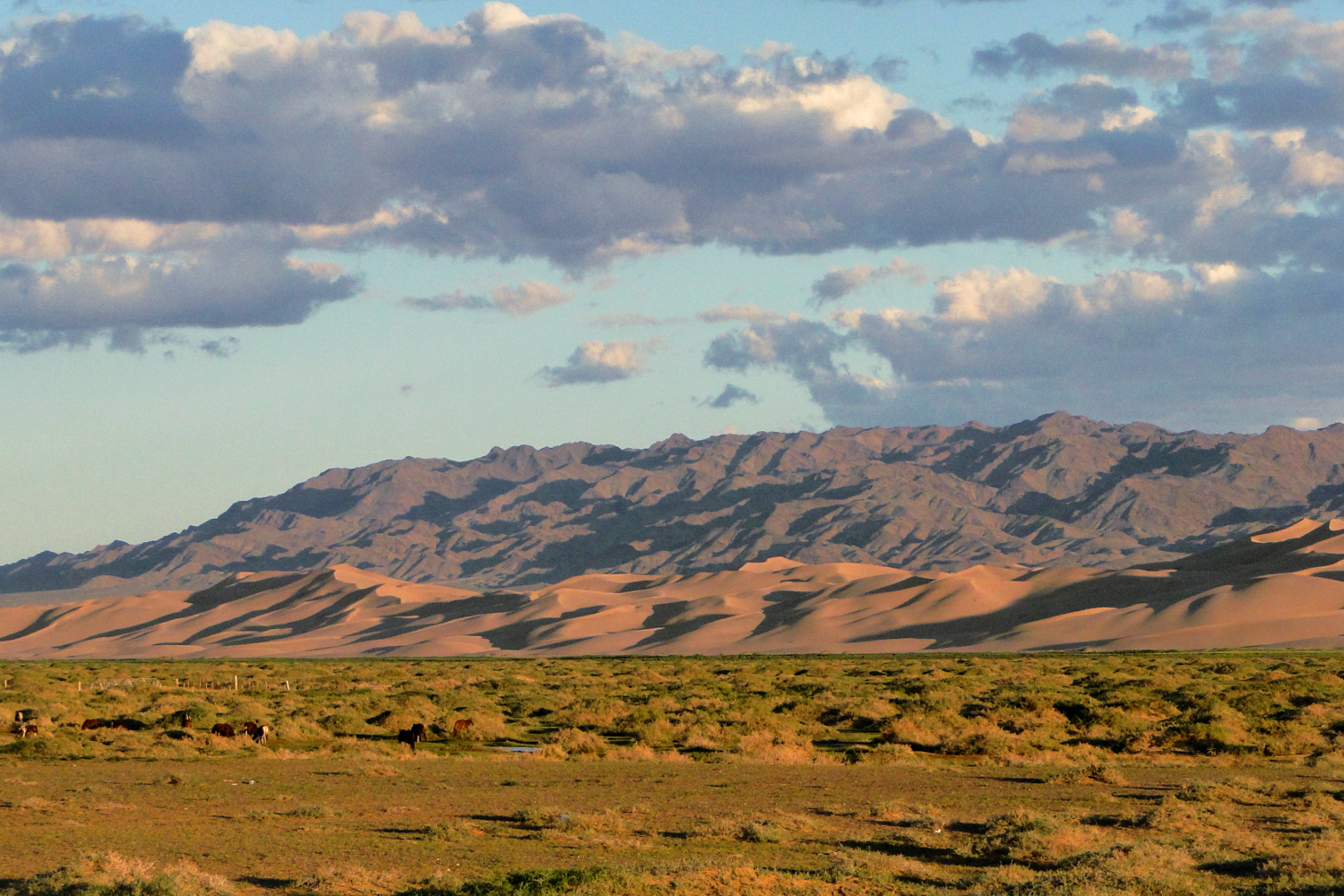 Khongoryn's sand dunes can soar up to 300m high. Image by Stephen Lioy / Lonely Planet