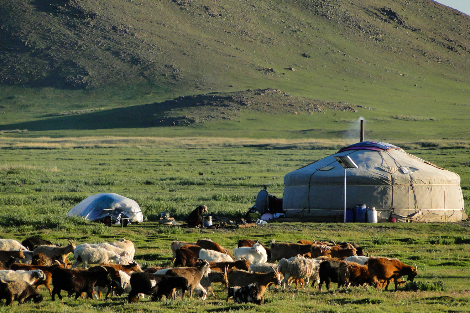 Most road-trippers stay in a ger camp with local nomads. Image by Stephen Lioy / Lonely Planet