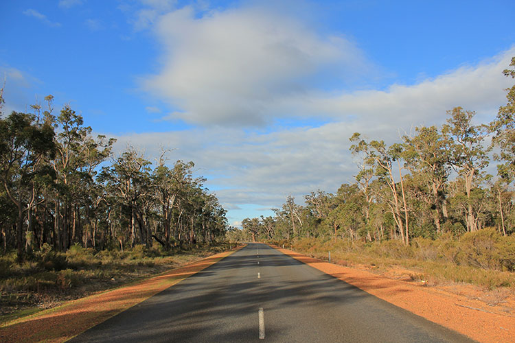 Hitting the highway in Western Australia is a travel dream for many road trippers. Image by Julien Carnot / CC BY-SA 2.0