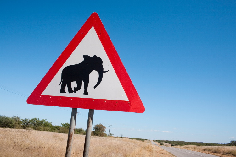 Elephant road sign, Damaraland, Namibia. Image by Ann & Steve Toon / Getty Images