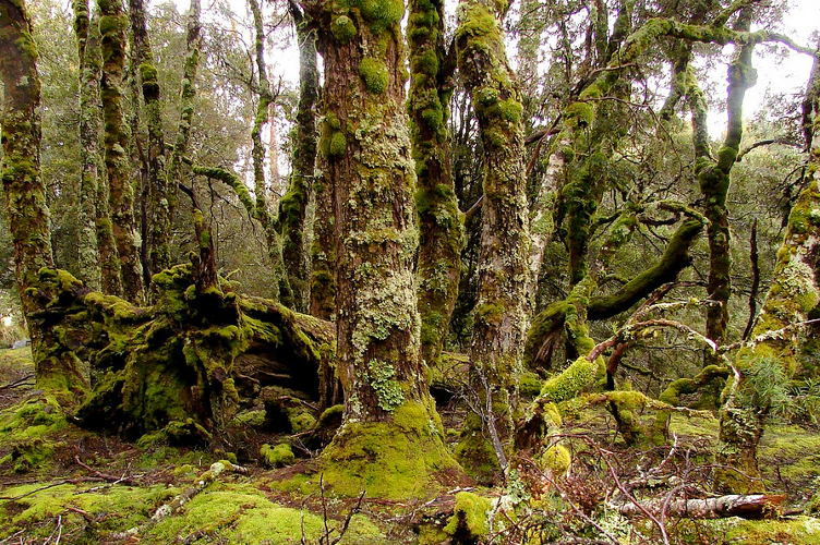 Road trip Tasmania