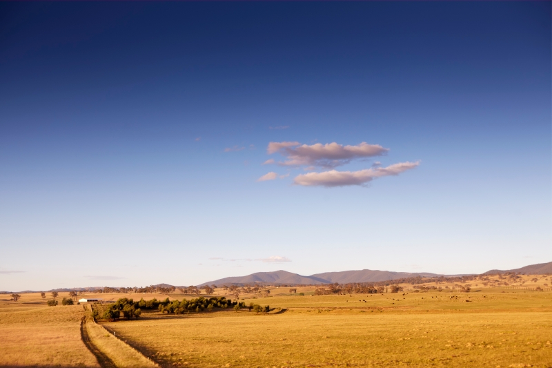 Seeing more of Australia's countryside is one upside of working there. Image by Matt Munro / Lonely Planet