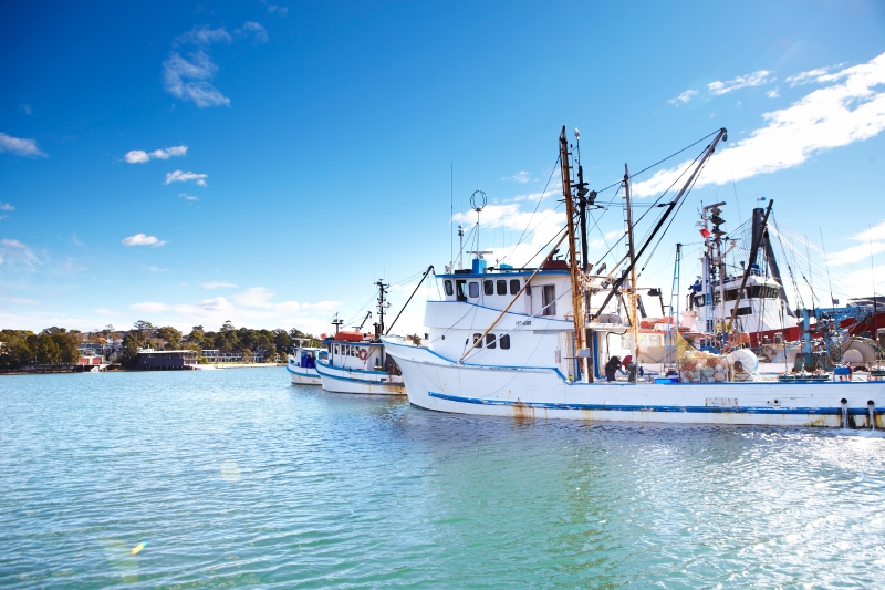 Fishing boats bringing the catch of the day to market. Image by Matt Munro / Lonely Planet ©