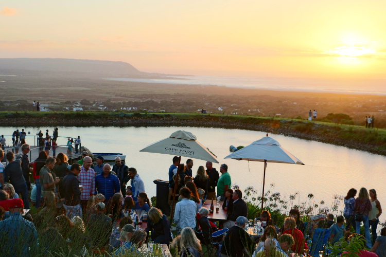 Noordhoek Community Market, Cape Point Vineyards, Cape Town. Image by Simon Richmond / Lonely Planet