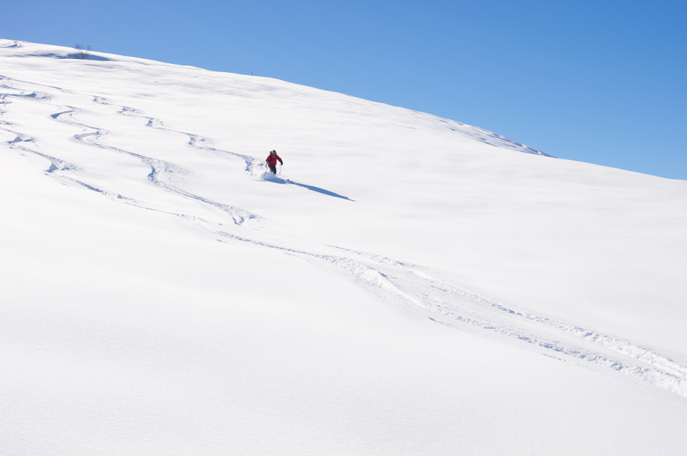 Making tracks in fresh powder