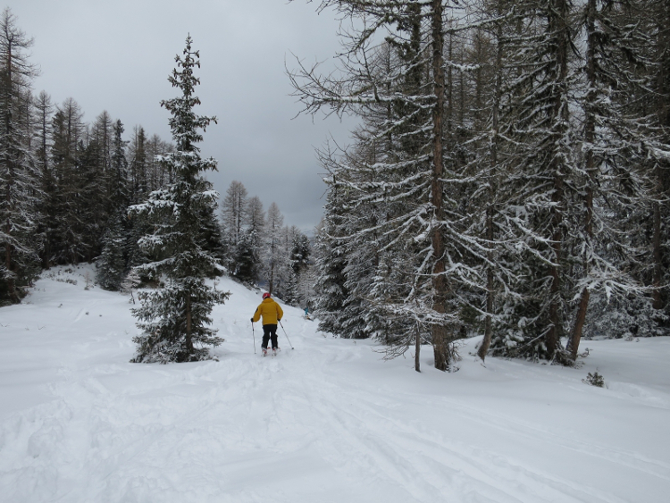 Tree-lined off-piste trail, La Plagne, French Alps.  