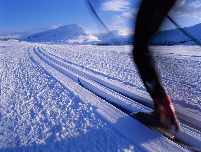 Ski at the top of the world in Arctic Sweden. Image by Johner / Getty Images