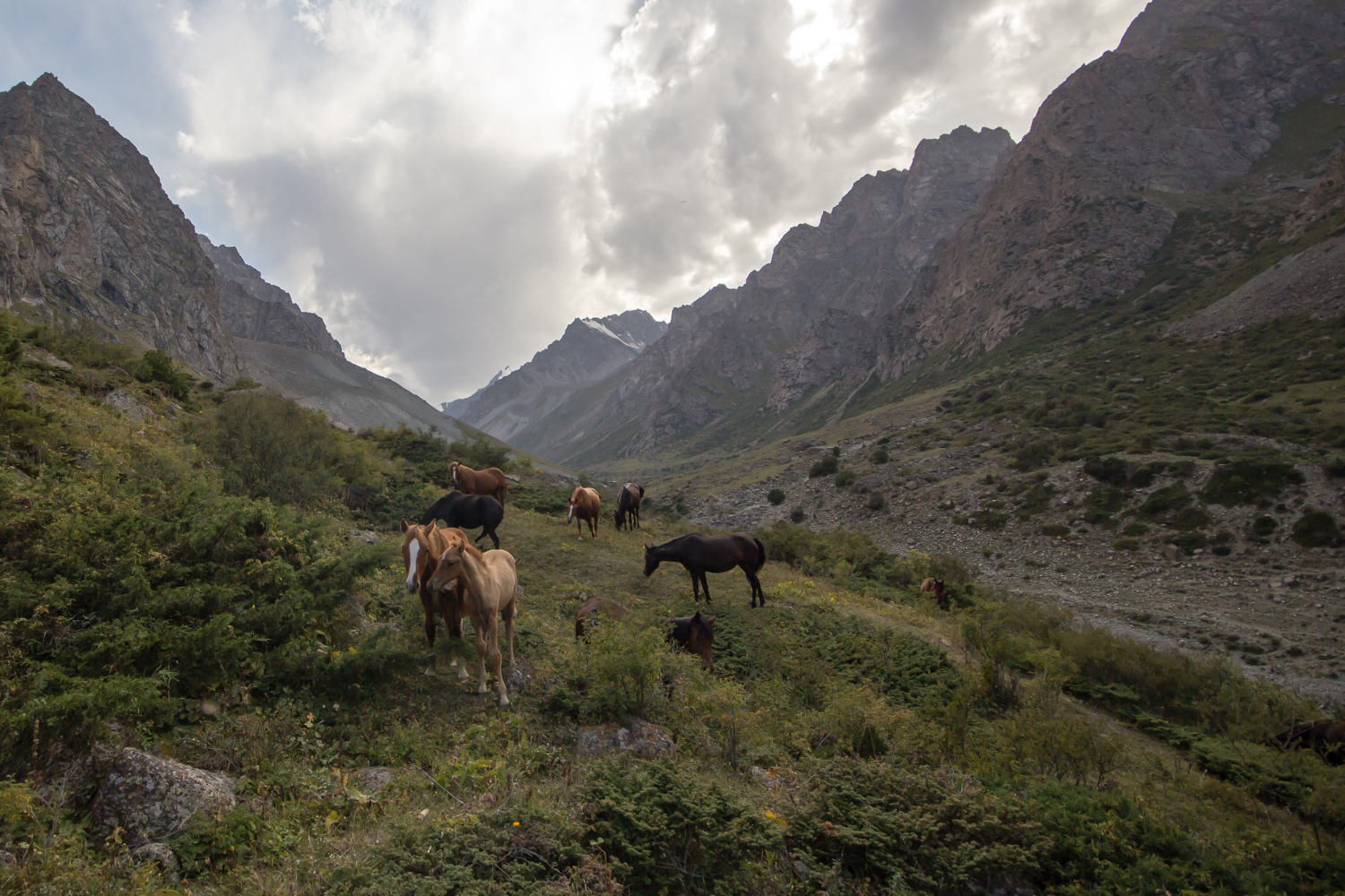 Spring is foaling season in Issyk-Ata. Image by Stephen Lioy / Lonely Planet