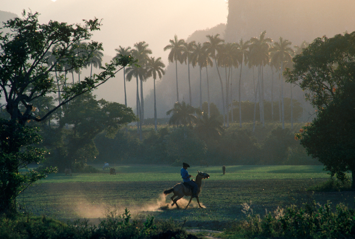 Viñales: a rural cowboy country that feels a world away from bustling Havana. Image by Jose Azel / Aurora Open / Getty