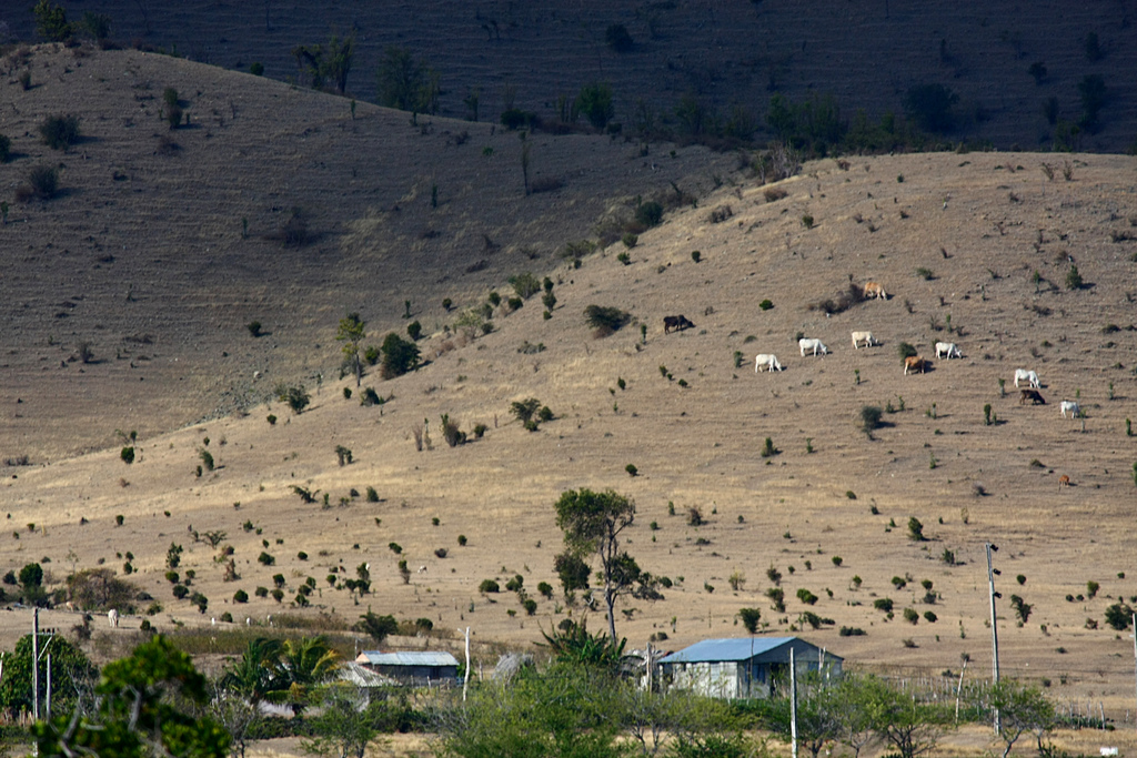 Castro's hideout in the Gran Parque Nacional Sierra Maestra was never discovered. Image by Martin Cathrae / CC BY-SA 2.0