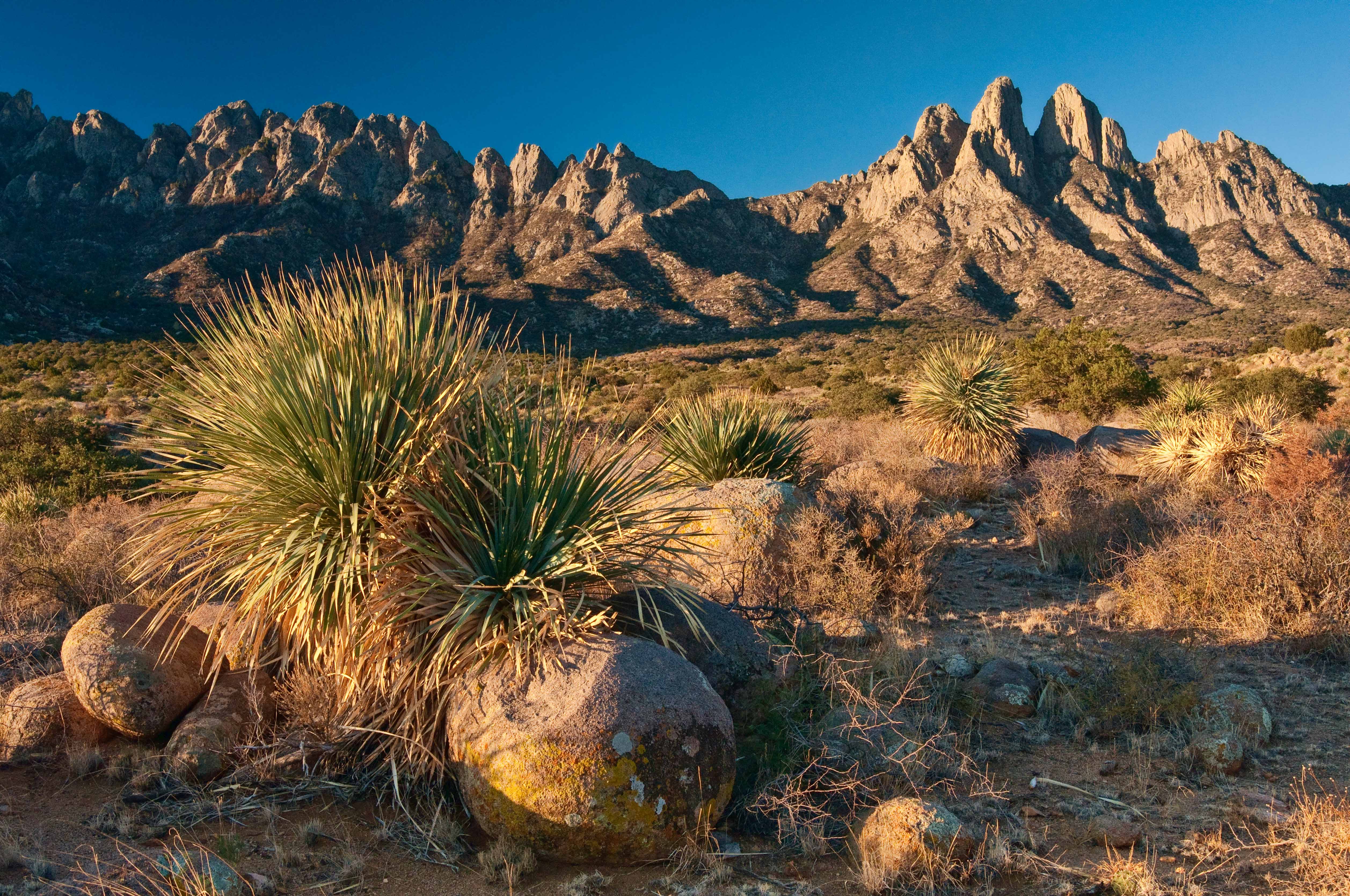 The Organ Mountains gained notoriety in 2014 when they became part of Organ Mountains-Desert Peaks National Monument © Witold Skrypczak / Lonely Planet Images / Getty