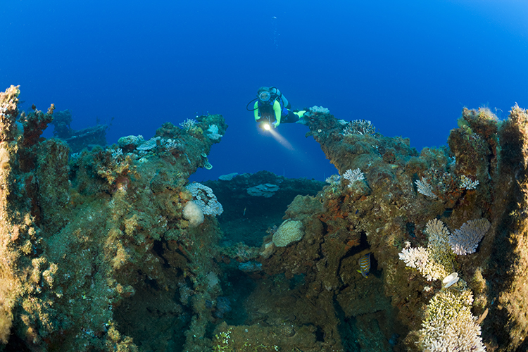 A diver explores a coral-covered shipwreck off the shores of Bikini Atoll. 