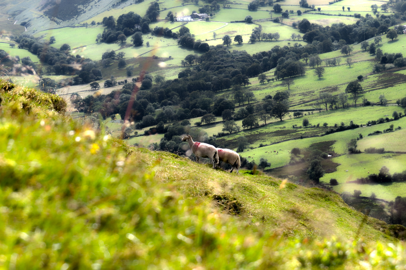 Public transport can get you near these steep slopes – but a car makes access easier. Image by Will Jones / Lonely Planet