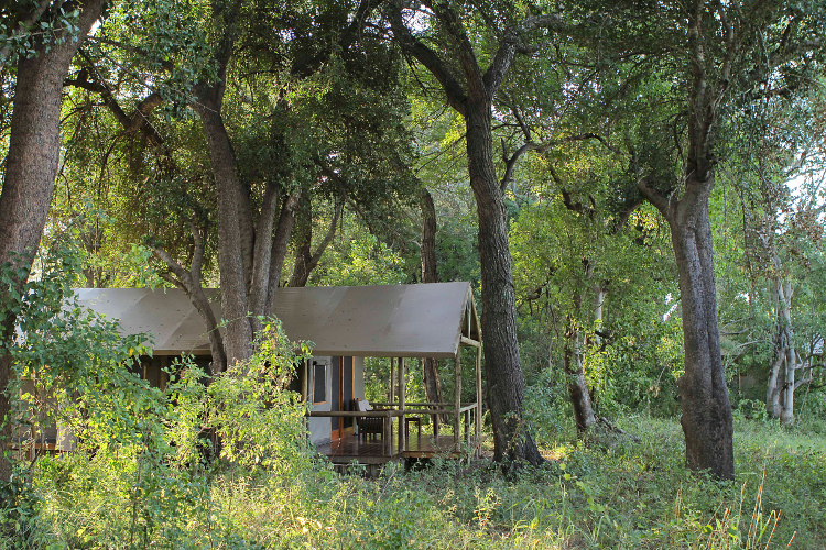 Selecting what type of accommodation is best for your family is key (safari tent at Shinde pictured). Image courtesy of Ker & Downey Botswana