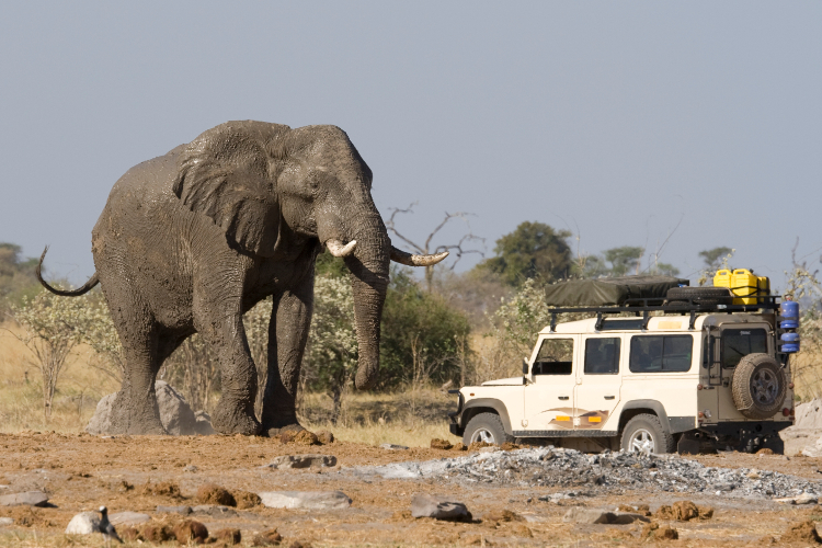 Self-drive 4WD meets elephant