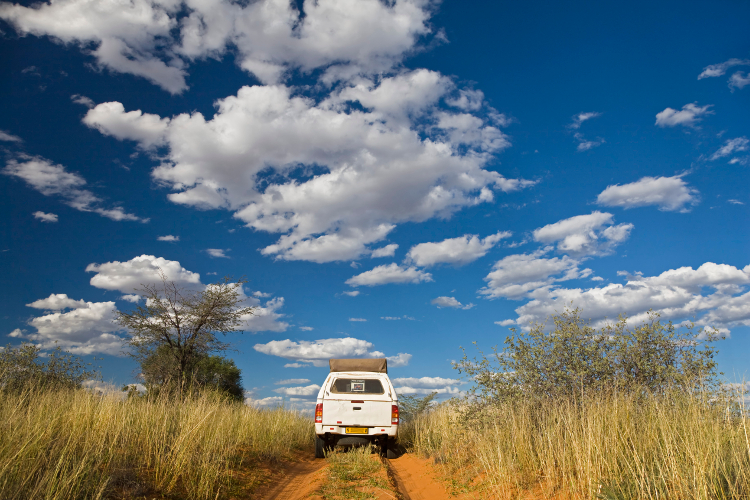 Self-driving in the Kalahari, Botswana