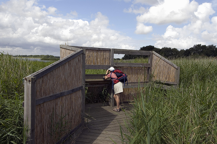 A birdwatcher in a hide.