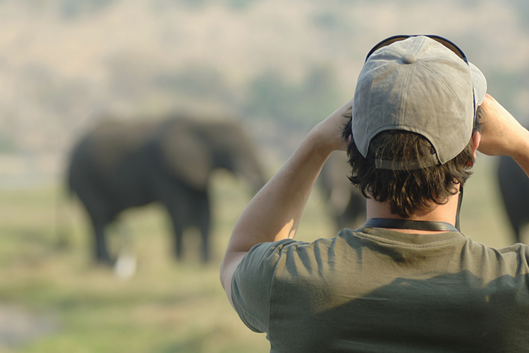 Man looking through binoculars at elephants.