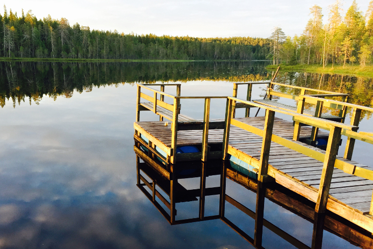 crystal-clear-lake-wild-brown-bear-centre