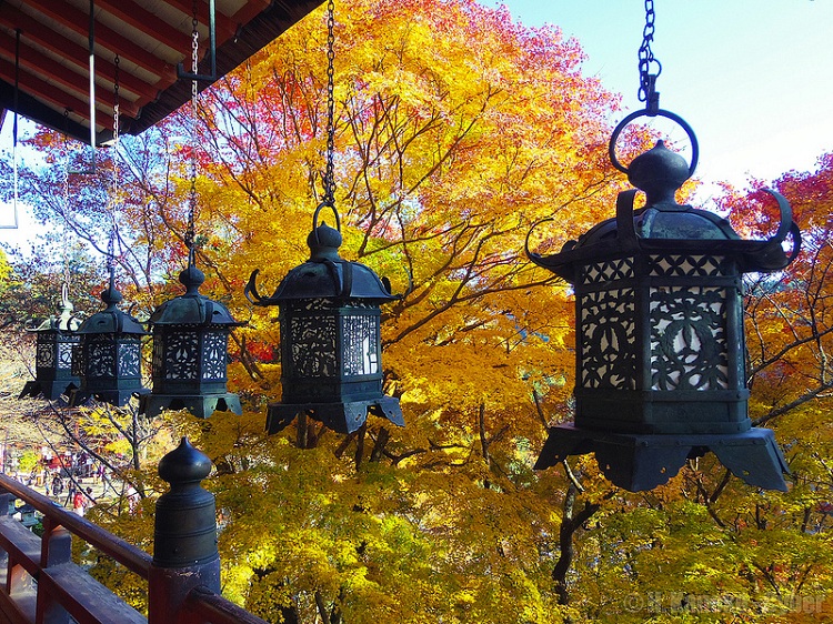 Tanzan shrine in autumn, by Hiroaki Kaneko. CC BY-SA 2.0
