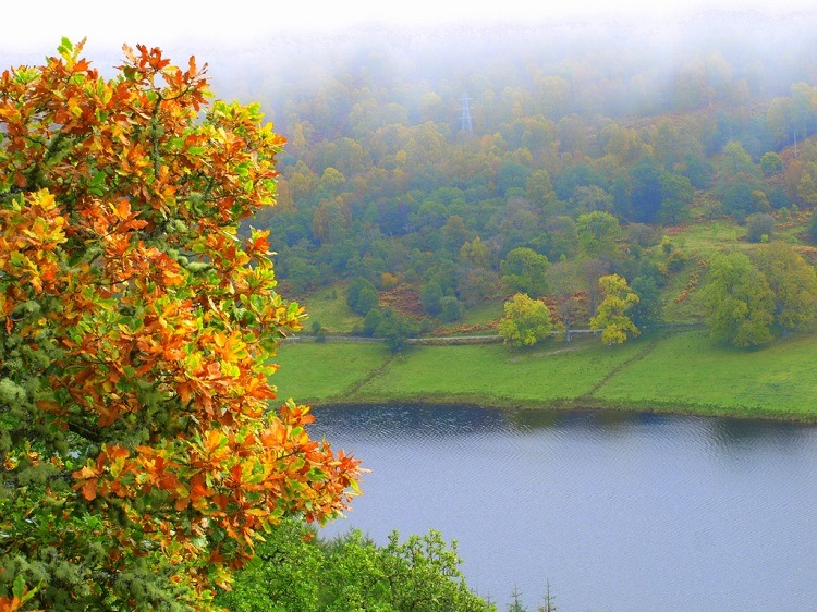 Morning mist, by B4bees. CC BY-SA 2.0