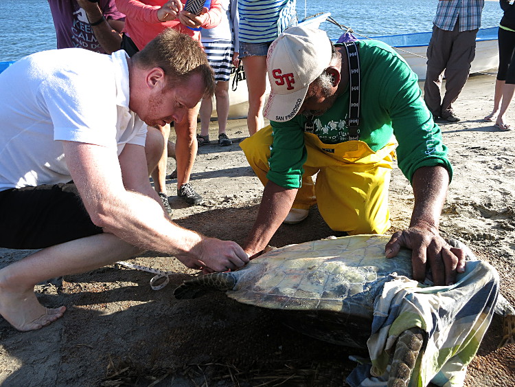 The original Cliff and his newly named turtle counterpart. Image by Clifton Wilkinson / Lonely Planet