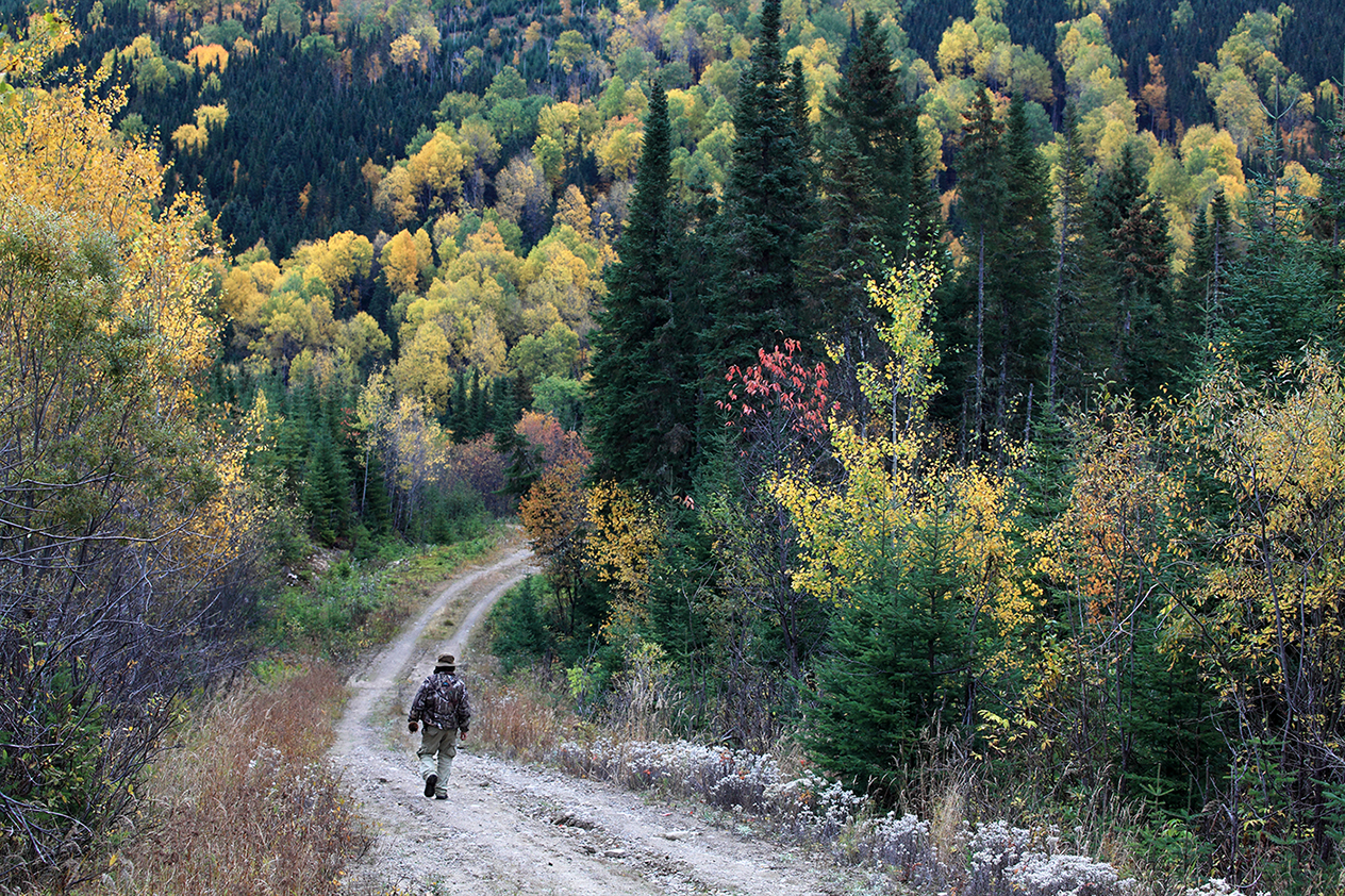 A hiker walks through Forêt Montmorency. Image by Bruce Yuanyue Bi / Lonely Planet Images / Getty