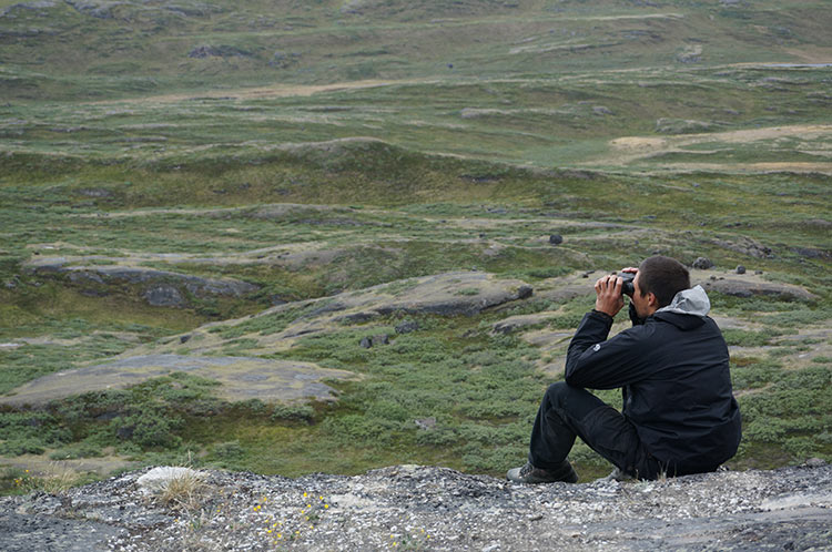 Wilderness guide Jens-Pavis Brandt scours the landscape for the elusive muskox. Image by Anita Isalska / Lonely Planet