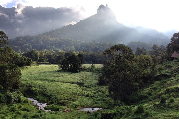 The view from Bale Mountain Lodge. Image by Helen Elfer / Lonely Planet