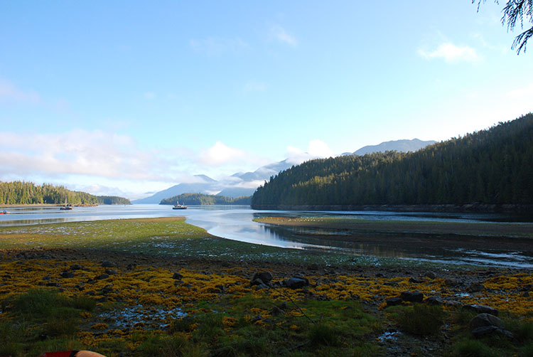 Barnard Harbour, by Dogwood Initiative / CC BY 2.0.