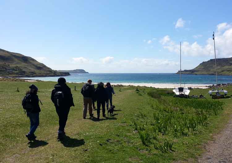 Calgary Bay, in northwest Mull, one of a number of gorgeous beaches on the island. Image by James Smart / Lonely Planet.