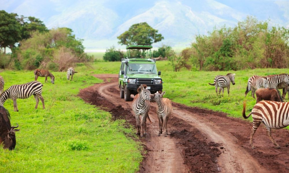 On safari in Ngorongoro crater