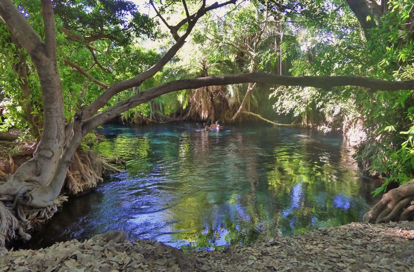 An Oasis Admist the Desert in Tanzania