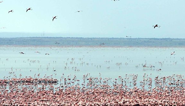 Lake Manyara National Park, Tanzania