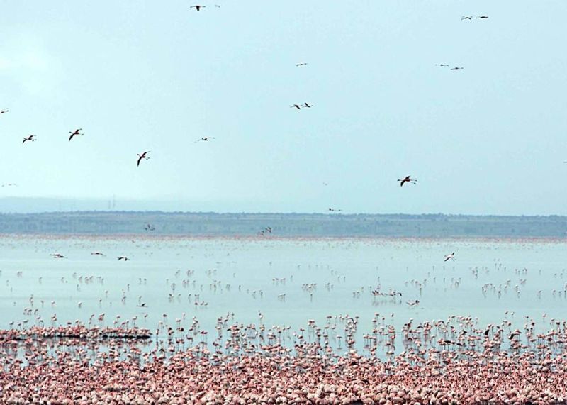 Lake Manyara National Park, Tanzania