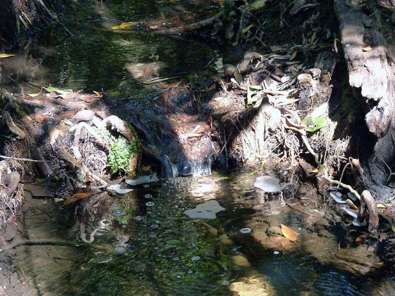 Source of the Zambezi (photo credit Lyn Taylor)