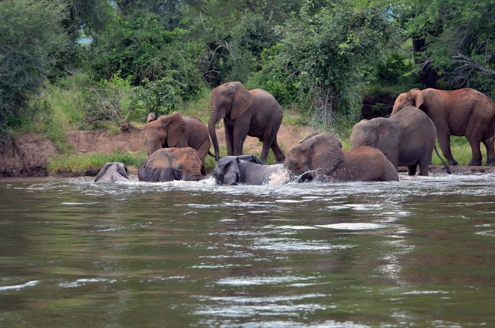 The Zambezi River