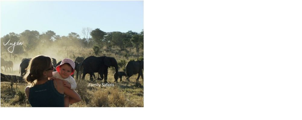 TAKING A YOUNG FAMILY ON SAFARI? YES!