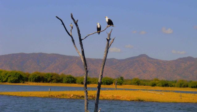 Floating Along Lake Kariba 