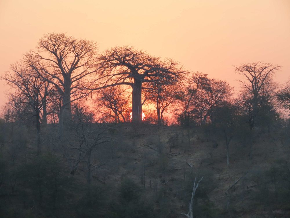 Floating Along Lake Kariba 