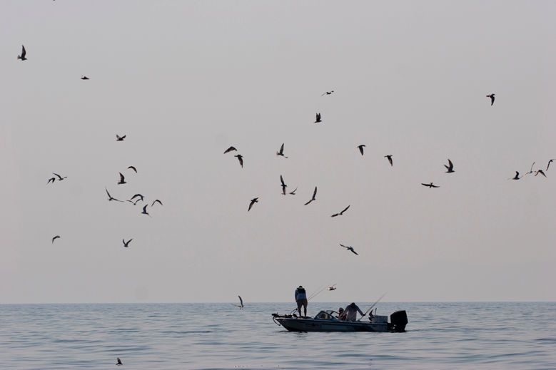 Tiger Fishing on Lake Kariba