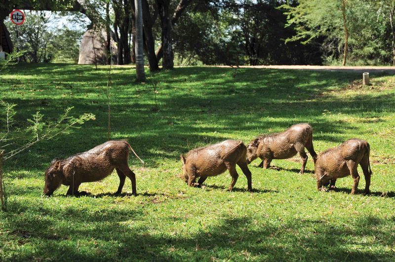 Luxury Zimbabwe