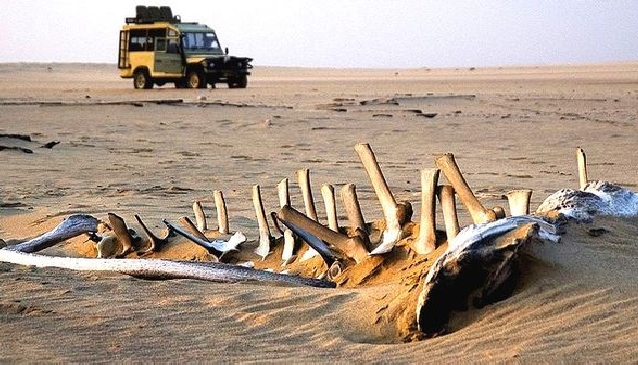 Into Unknown Namibia