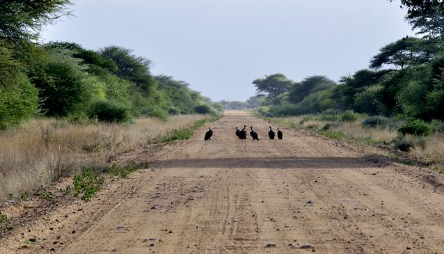 Namibia on a Shoestring