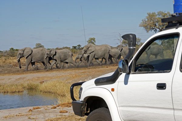 Etosha