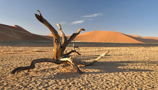 Namibia on a Self-Drive Holiday
