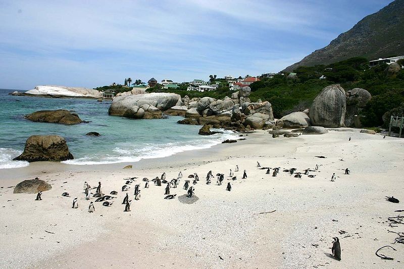 Boulders Bay