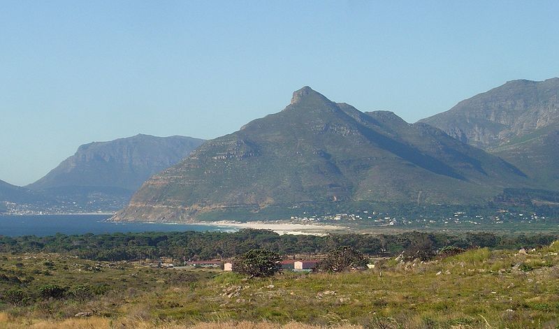 On the Road to Cape Point, Cape Town