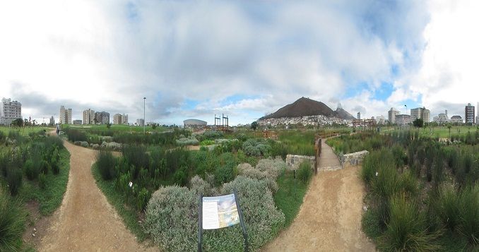 Green Point Urban Park