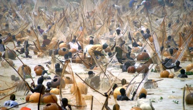 Argungu Fishing Festival is Coming this Year.